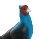 IBB 3D Blue Pheasant