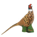 IBB 3D Noble Pheasant