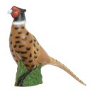 IBB 3D Noble Pheasant