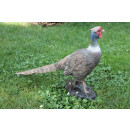 FRANZBOGEN - Pheasant