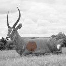 WILDCRETE 3D spare parts