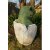 WILDCRETE 3D Baby Tyrannosaurus [***]