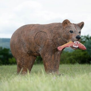 WILDCRETE 3D Brown Bear [Forwarding agent]