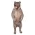 WILDCRETE 3D Grizzly Bear [Forwarding agent]