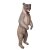 WILDCRETE 3D Grizzly Bear [Forwarding agent]