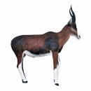 WILDCRETE 3D Blessbock [Forwarding Agent]