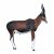 WILDCRETE 3D Blessbock [Forwarding Agent]