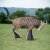 WILDCRETE 3D Striped Gnu [shipping agent]