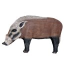 WILDCRETE 3D Bush Pig [***]
