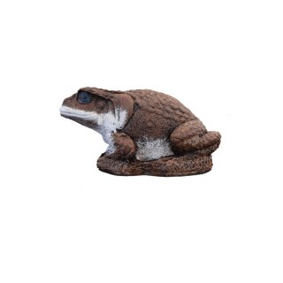 WILDCRETE 3D Aga - Kröte