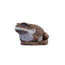 WILDCRETE 3D Aga - Toad
