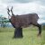 WILDCRETE 3D Female Chamois [***]