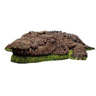WILDCRETE Crocodile [Forwarding Agent]