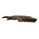 WILDCRETE Crocodile [Forwarding Agent]