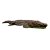 WILDCRETE Crocodile [Forwarding Agent]