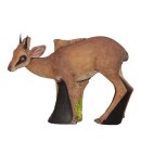 WILDCRETE 3D Dikdik