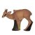WILDCRETE 3D Dikdik