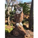 WILDCRETE 3D Spotted Owl