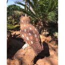WILDCRETE 3D Spotted Owl