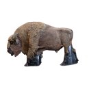 WILDCRETE 3D Bison [shipping agent]