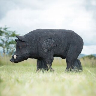 WILDCRETE 3D Wild Boar