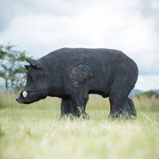 WILDCRETE 3D Braunes Wildschwein [***]