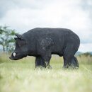 WILDCRETE 3D Brown Wild Boar [***]