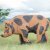 WILDCRETE 3D Wild boar - sighted [***]