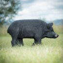 WILDCRETE 3D Black domestic pig
