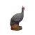 WILDCRETE 3D Guinea Fowl
