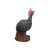 WILDCRETE 3D Guinea Fowl