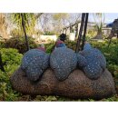 WILDCRETE 3D Chicken Trio
