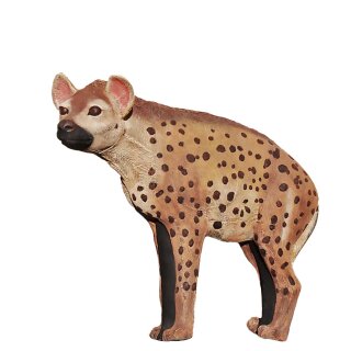 WILDCRETE 3D Hyena [***]