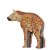 WILDCRETE 3D Hyena [***]