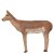 WILDCRETE 3D Female Impala