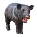 WILDCRETE 3D Javelina