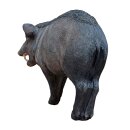 WILDCRETE 3D Javelina