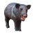 WILDCRETE 3D Javelina
