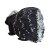 WILDCRETE 3D Cape Porcupine