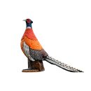 WILDCRETE 3D Pheasant