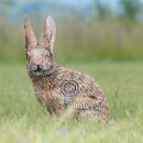 WILDCRETE 3D Cottontail Rabbit