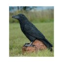 WILDCRETE 3D Raven