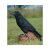 WILDCRETE 3D Raven