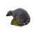 WILDCRETE 3D Raccoon