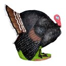 WILDCRETE 3D Turkey