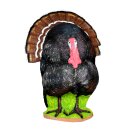 WILDCRETE 3D Turkey