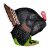 WILDCRETE 3D Turkey