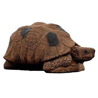 WILDCRETE 3D Turtle