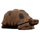 WILDCRETE 3D Turtle