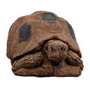 WILDCRETE 3D Turtle